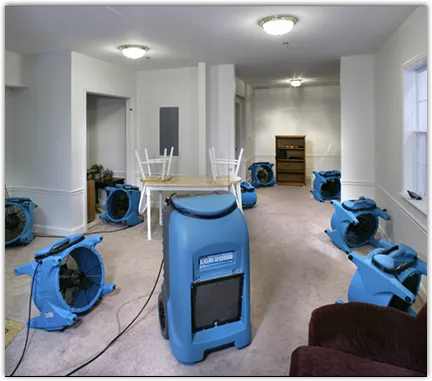 Drying & Dehumidification in Jonesboro, GA