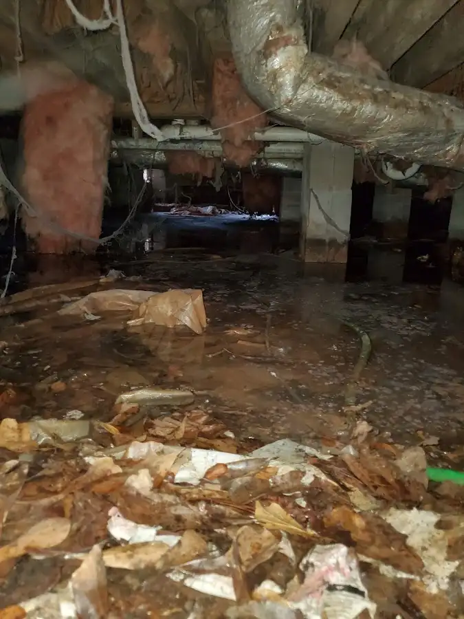 Crawl space flood assessment for Leak Detection & Repair in Jonesboro